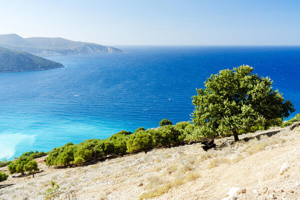 Lush summer trees on hills above the crystal sea, Zola, Kefalonia, Ionian Islands, Greece