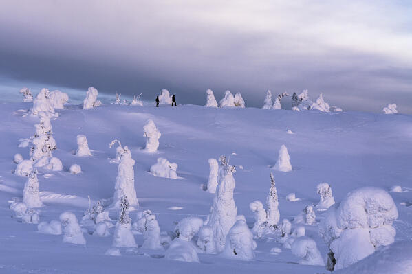 Silhouettes of hikers with snowshoes admiring the ice sculptures at dusk, Riisitunturi National Park, Posio, Lapland, Finland