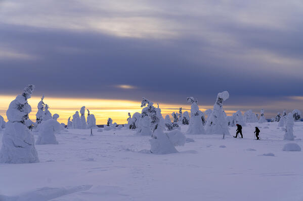 Man and woman with snowshoes discovering the frozen forest at dusk, Riisitunturi National Park, Posio, Lapland, Finland