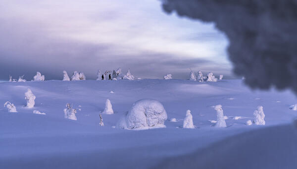 Two people walking in the winter snowy landscape during the blue hour, Riisitunturi National Park, Posio, Lapland, Finland