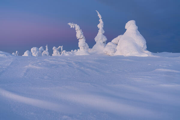 Arctic dusk over ice sculptures wrapped in snow, Riisitunturi National Park, Posio, Lapland, Finland