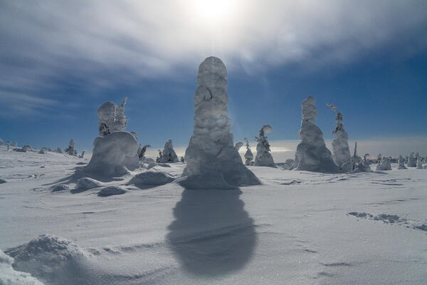 Bright moonlight through clouds over majestic frozen trees wrapped in snow, Riisitunturi National Park, Posio, Lapland, Finland