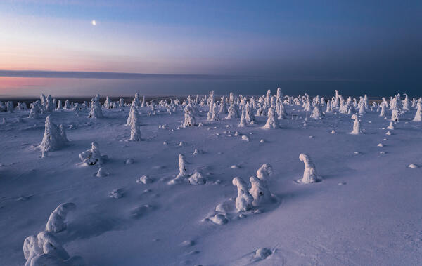 Aerial view of ice sculptures under the colorful sky at sunrise, Riisitunturi National Park, Posio, Lapland, Finland