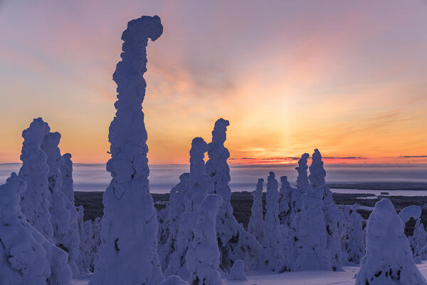 Dramatic sky at dawn over ice sculptures wrapped in snow, Riisitunturi National Park, Posio, Lapland, Finland
