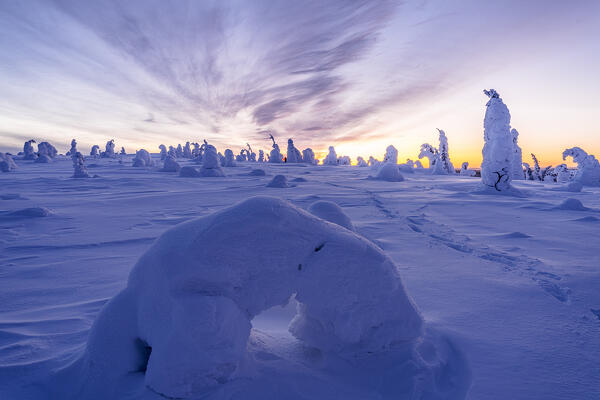 Beautiful sky at sunset over the snowy frozen forest in winter, Riisitunturi National Park, Posio, Lapland, Finland