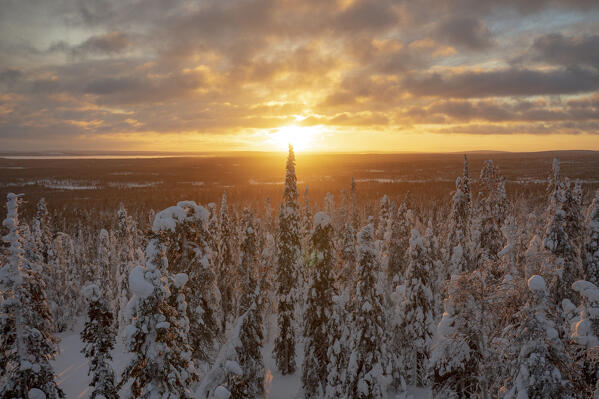Scenic sky at sunset over the winter forest covered with snow, Riisitunturi National Park, Posio, Lapland, Finland