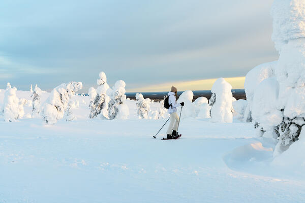 Young woman enjoying snowshoeing In the snowy Arctic landscape at sunset, Riisitunturi National Park, Posio, Lapland, Finland