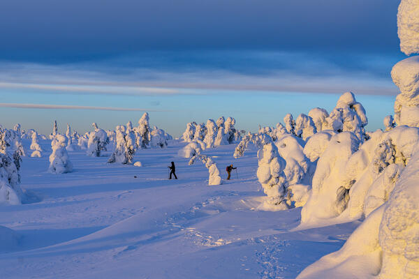 Two hikers with snowshoes exploring the frozen snowy forest at sunset, Riisitunturi National Park, Posio, Lapland, Finland