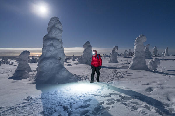 Tourist walking in the frozen snowy forest under the starry sky during a full moon night, Riisitunturi National Park, Posio, Lapland, Finland
