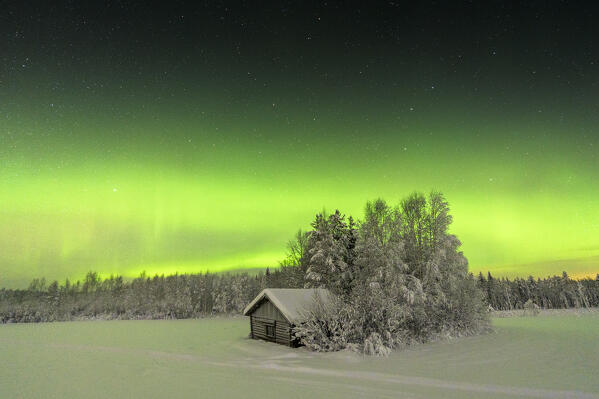 Snowy mountain hut  in the frozen forest under the bright lights of Aurora Borealis, Tornio, Lulea, Lapland, Sweden