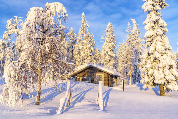 Mountain hut in the snowy forest at dawn, Kangos, Norrbotten County, Lapland, Sweden