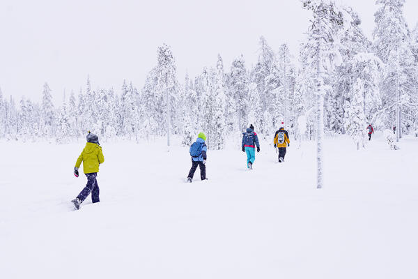Group of hikers walking on a snowy winter trail, Iso Syote, Northern Ostrobothnia, Lapland, Finland