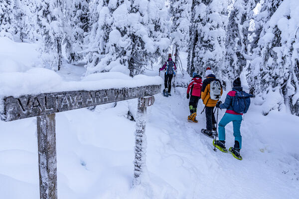 Family on a winter hiking trail, Oulanka National Park, Ruka Kuusamo, Lapland, Finland