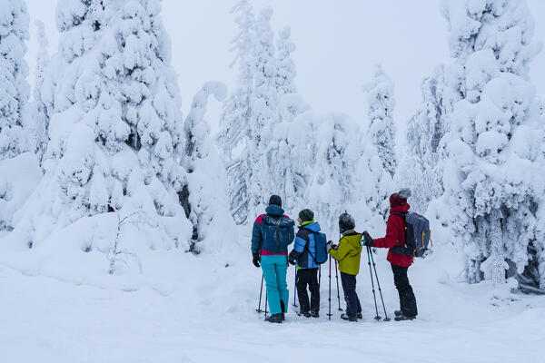 Family with two sons admiring the ice sculptures hiking in a snowy forest, Riisitunturi National Park, Posio, Lapland, Finland