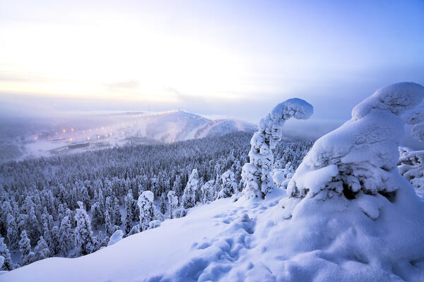 Frozen snowy trees on hills surrounding the famous Ruka ski resort, Kuusamo, Northern Ostrobothnia, Lapland, Finland