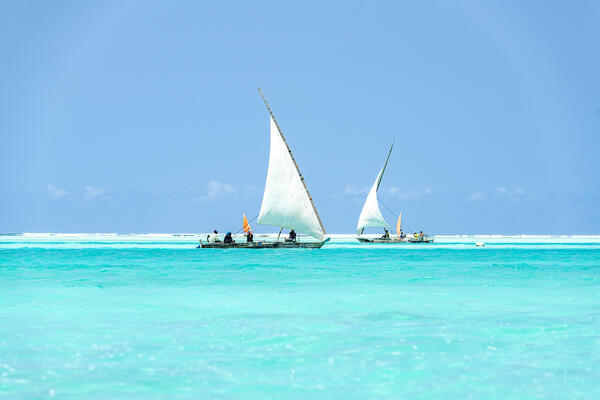 Dhow boats sailing in the crystal turquoise water of the Indian Ocean, Paje, Jambiani, Zanzibar, Tanzania