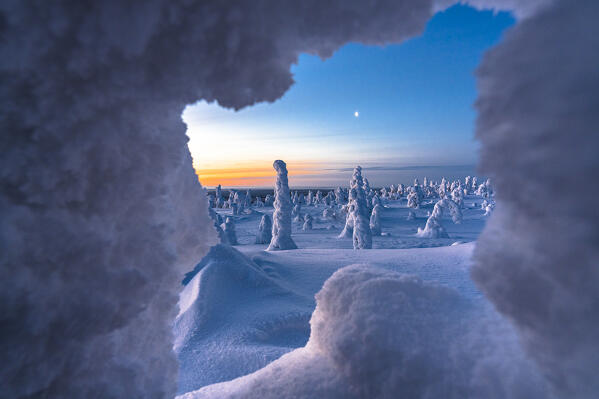 Majestic ice sculptures during the cold arctic sunrise, Riisitunturi National Park, Posio, Lapland, Finland