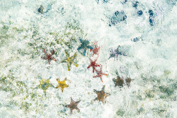 Overhead view of tropical starfish underwater on white coral sand, Zanzibar, Tanzania