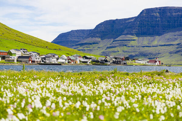Fishing village of Hvannasund framed by wildflowers in bloom covering the green meadows, Bordoy island, Faroe Island