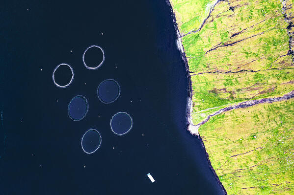 Overhead view of fishing tanks of salmon and codfish in the Atlantic Ocean, Faroe Islands