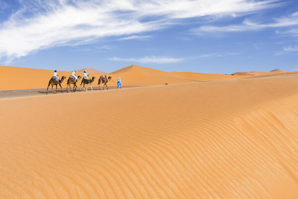 Tourist camel caravan going through Sahara Desert, Erg Chebbi, Merzouga, Morocco