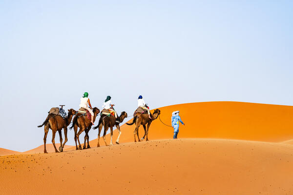 Tourists riding camels on sand dunes, Erg Chebbi, Merzouga, Sahara Desert, Morocco