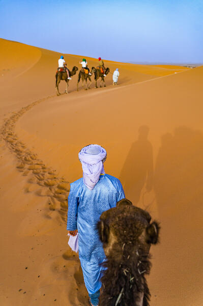 Tuareg man dresssed in the traditional blue robe leading camels, Erg Chebbi, Merzouga, Sahara Desert, Morocco