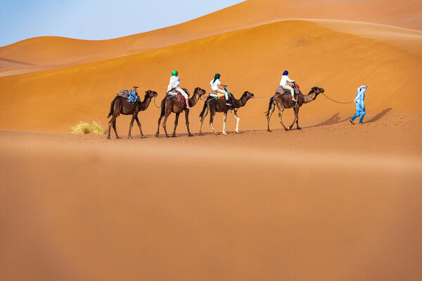 Tourist camel caravan going through Sahara Desert, Erg Chebbi, Merzouga, Morocco