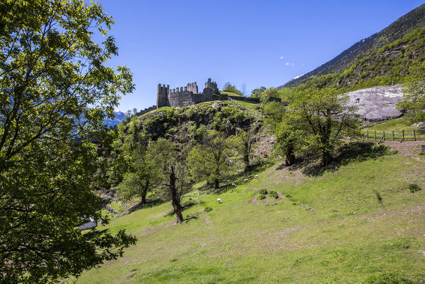 Castle Visconti Venosta in Grosio. Province of Sondrio. Valtellina. Lombardy. Italy. Europe