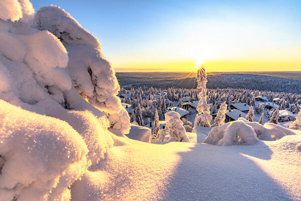 Frozen huts in the snowy forest, Pudasjarvi, Iso Syote, Northern Ostrobothnia, Finland