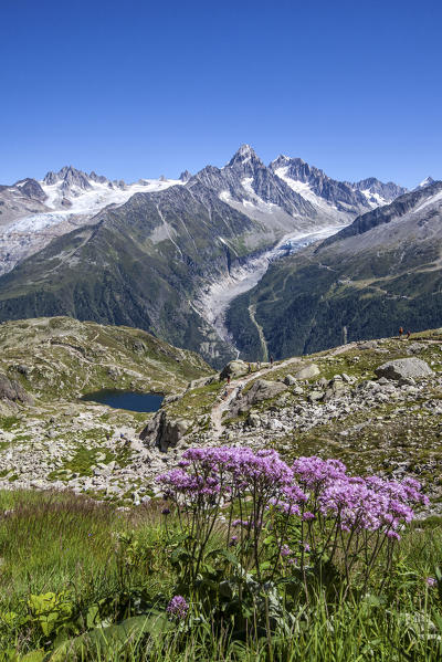 Mont Blanc range seen from Lac de Chesery  Aiguilles Du Chardonnet. Haute Savoie. France
