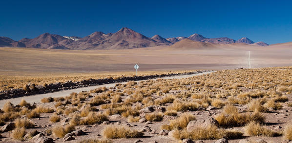 Typical landscape of the Andean Altiplano and Atacama Desert which exceeds 4000 meters of altitude. Chile. South America.