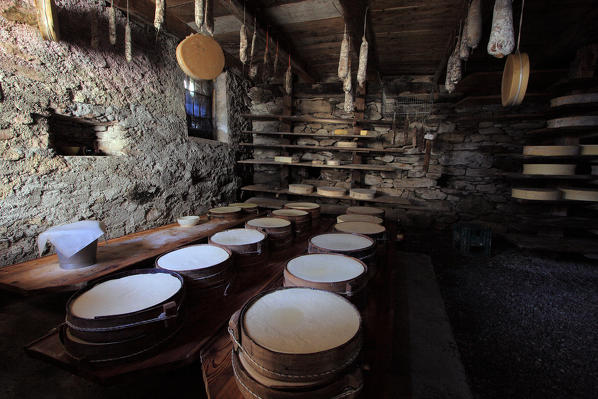 Once removed from the copper, the mixture of cheese is placed into wooden containers, which give it its typical concave shape. The Producers of 