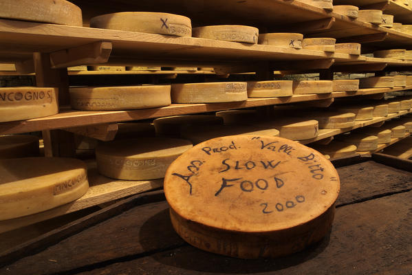 At the Centro del Bitto in Gerola, Bitto cheese is seasoning for a long time, Valtellina, Lombardy Italy Europe