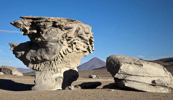 Arbol de Piedra, an interesting natural rock formation in the Eduardo Avaroa Andean Fauna National Reserve of Sur Lìp­ez Province is a testament to Nature's unusually creative skills - Bolivia South America