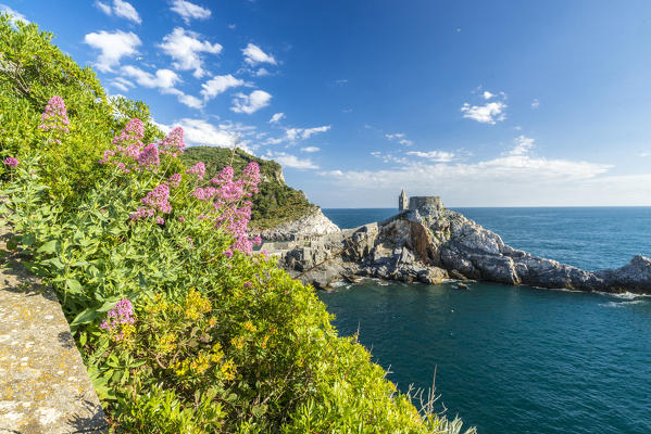 Flowers and blue sea frame the old castle and church on the promontory Portovenere province of La Spezia Liguria Italy Europe