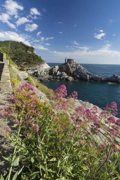 Flowers and blue sea frame the old castle and church on the promontory Portovenere province of La Spezia Liguria Italy Europe