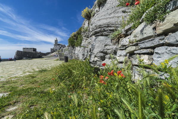 Flowers and blue sky frame the old castle and church on the promontory Portovenere province of La Spezia Liguria Italy Europe