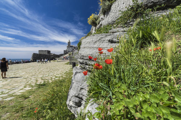 Flowers and blue sea frame the old castle and church on the promontory Portovenere province of La Spezia Liguria Italy Europe