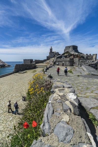 Flowers and blue sea frame the old castle and San Pietro Church Portovenere province of La Spezia Liguria Italy Europe