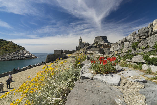 Flowers and blue sea frame the old castle and San Pietro Church Portovenere province of La Spezia Liguria Italy Europe