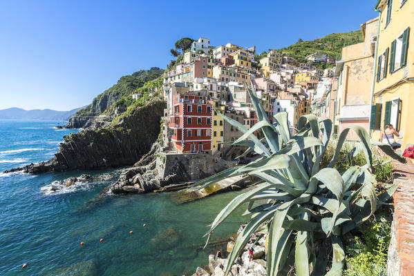 Colorful houses and typical architecture of  Riomaggiore Cinque Terre National Park province of La Spezia Liguria Italy Europe