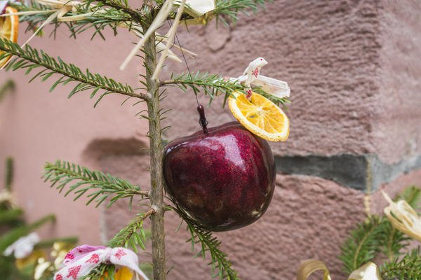 The apple and fruit as Christmas ornaments and decorations Kaysersberg Haut-Rhin department Alsace France Europe