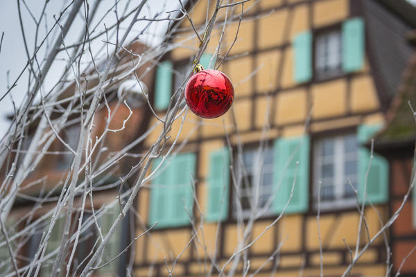 Red Christmas Bauble as ornament and decoration Kaysersberg Haut-Rhin department Alsace France Europe