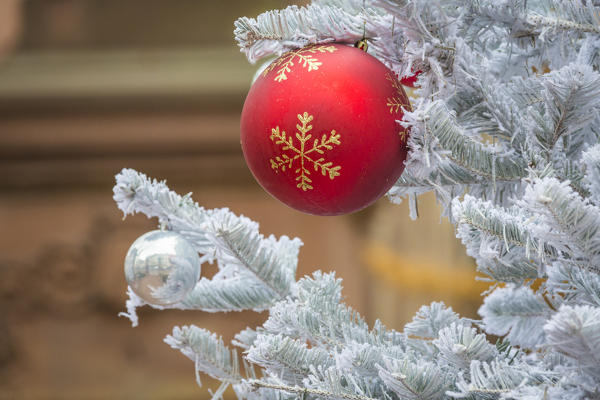 Red Christmas Bauble as ornament and decoration Kaysersberg Haut-Rhin department Alsace France Europe