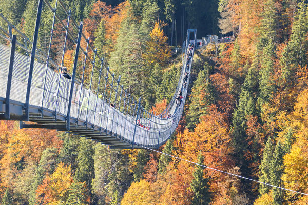 Tourists on the suspension bridge called Highline 179 framed by colorful woods in autumn Ehrenberg Castle Reutte Austria Europe