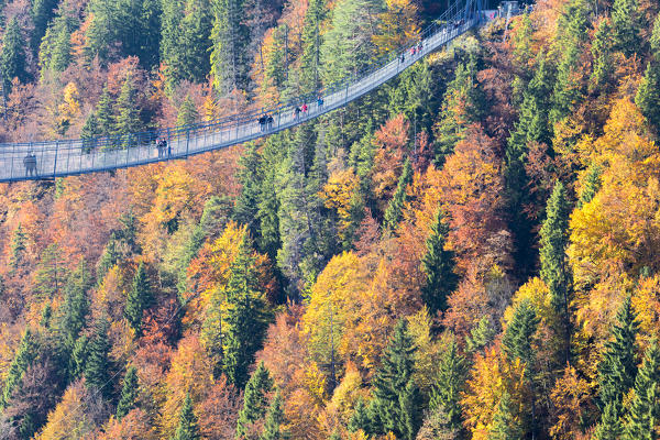 Tourists on the suspension bridge called Highline 179 framed by colorful woods in autumn Ehrenberg Castle Reutte Austria Europe