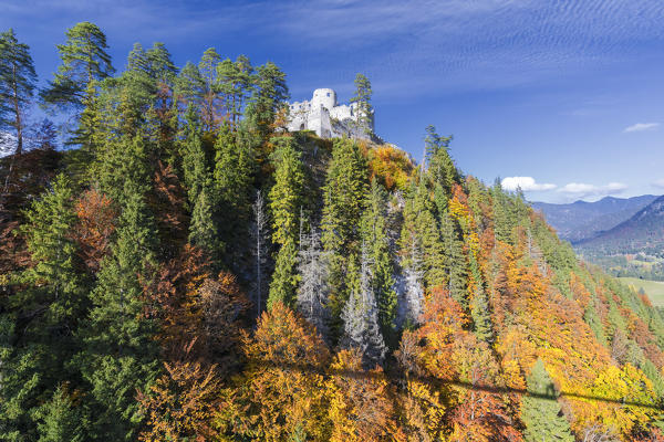 View of the old Ehrenberg Castle surrounded by colorful woods in autumn Reutte Austria Europe