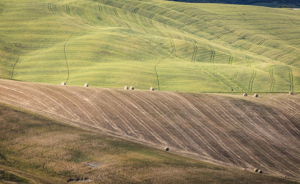 The curved shapes of the multicolored hills of the Crete Senesi (Senese Clays) province of Siena Tuscany Italy Europe