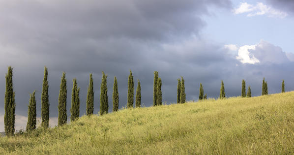 Clouds on the green hills framed by cypresses in a row Crete Senesi (Senese Clays) province of Siena Tuscany Italy Europe
